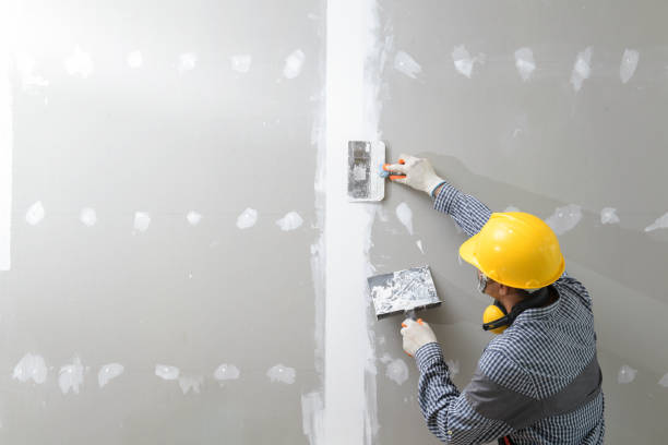 Best Biohazard Mold Removal  in Wheaton, IL