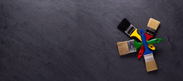 Wheaton, IL Mold Removal Company