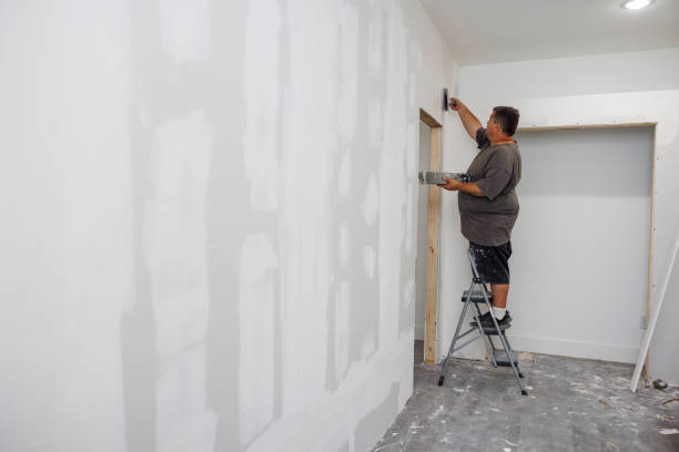 Best Mold Documentation for Insurance Claims  in Wheaton, IL