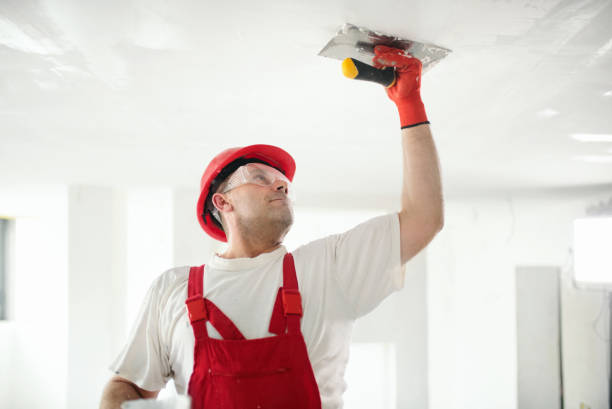 Best Commercial Mold Inspection  in Wheaton, IL