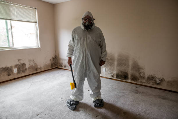 Asbestos and Lead Testing During Mold Inspection in Wheaton, IL