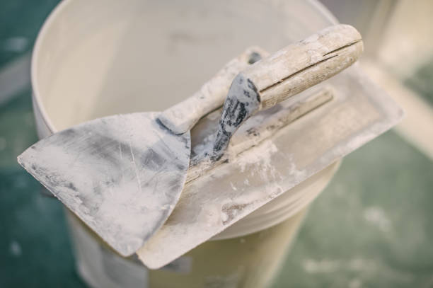 Best Water Damage & Mold Remediation  in Wheaton, IL