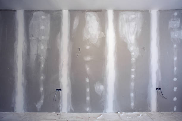Best Comprehensive Air Testing for Mold Contaminants  in Wheaton, IL
